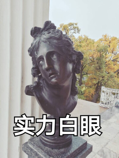 欧美搞怪头像/表情包◝◟