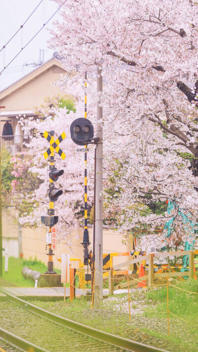 高清壁纸——风景静物