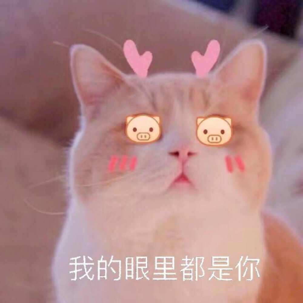 匿名宝宝