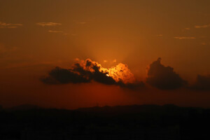 太阳 黄昏 树 希望 我要歌颂你