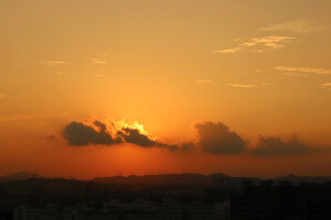 太阳 黄昏 树 希望 我要歌颂你