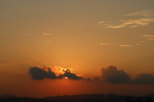 太阳 黄昏 树 希望 我要歌颂你