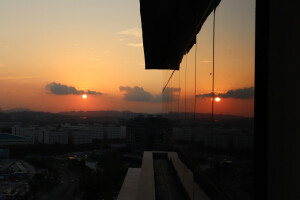 太阳 黄昏 树 希望 我要歌颂你