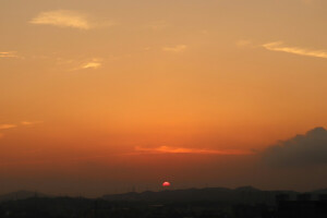太阳 黄昏 树 希望 我要歌颂你