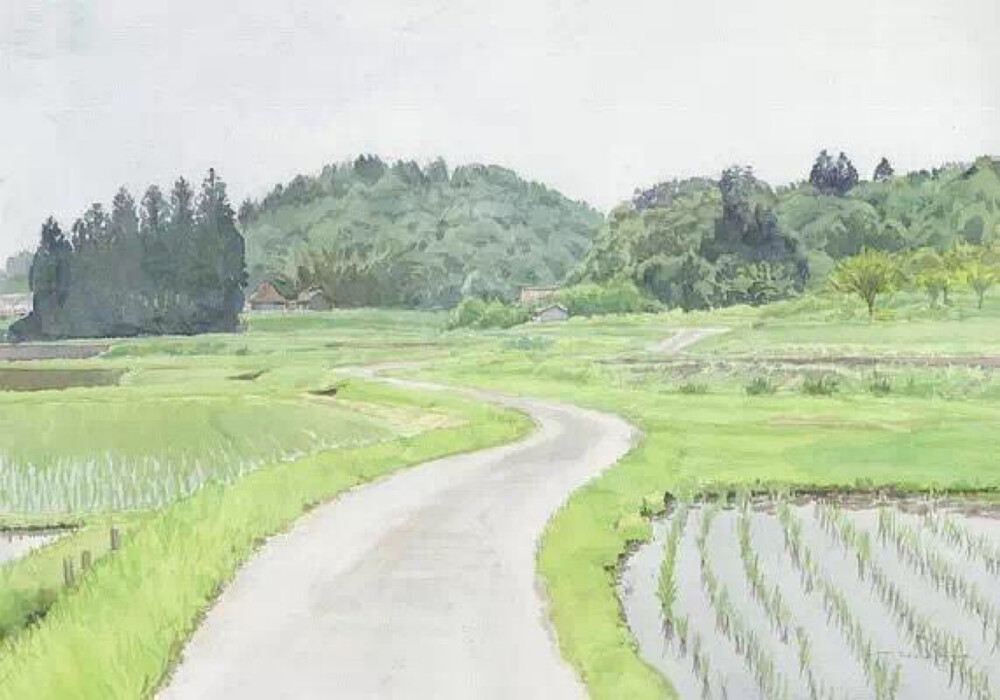 日本画