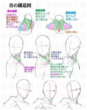 是我我在空间看见的呀，出自bilibili趣闻趣事酱（｡ò ∀ ó｡）