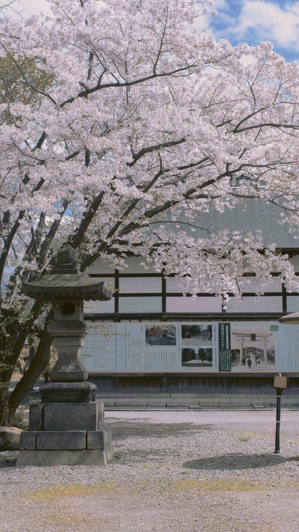 壁纸 风景壁纸 旅行