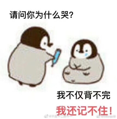 表情包嘻嘻嘻