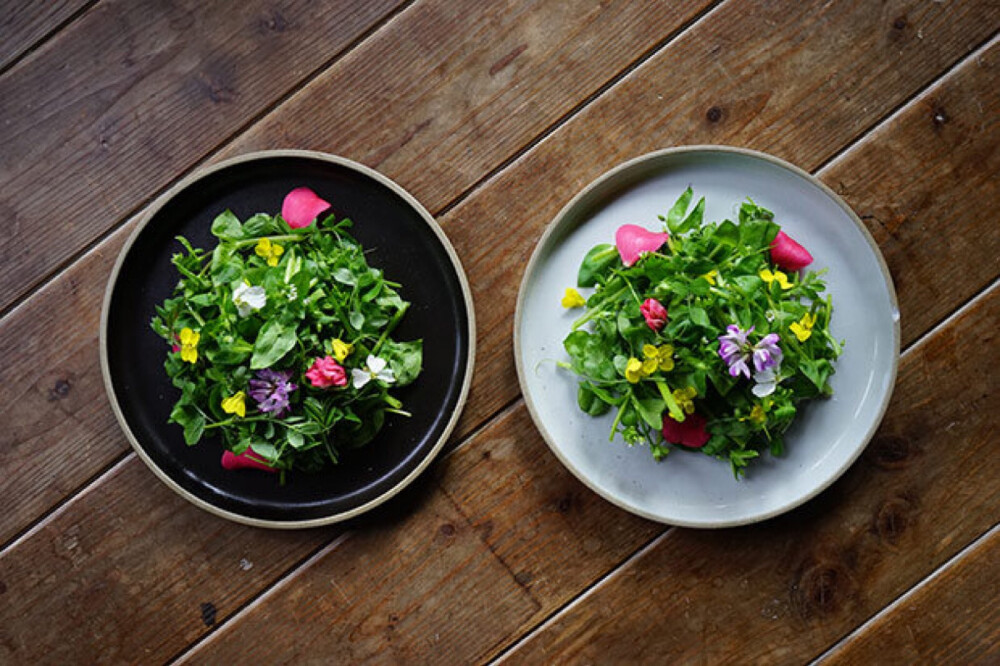 来瞧瞧福冈县Itoshima Share House的春草凉拌菜。
野菜有繁缕、矢筈豌豆、水芹、小根蒜、笔头菜、蜂斗菜；再加上山茶、紫云英和蒲公英的花朵，盘中的色调一下子就亮了起来。调料是橄榄油、盐、胡椒、洋芥末和柠檬。
（出典→colocal.jp/topics/lifestyle/itoshima/20190312_123621.html）