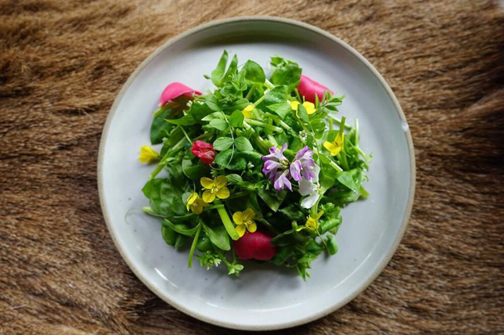 来瞧瞧福冈县Itoshima Share House的春草凉拌菜。
野菜有繁缕、矢筈豌豆、水芹、小根蒜、笔头菜、蜂斗菜；再加上山茶、紫云英和蒲公英的花朵，盘中的色调一下子就亮了起来。调料是橄榄油、盐、胡椒、洋芥末和柠檬。
（出典→colocal.jp/topics/lifestyle/itoshima/20190312_123621.html）