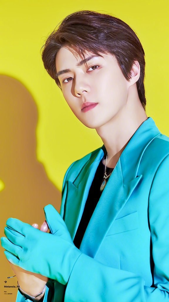 杂 世勋 伯贤 壁纸