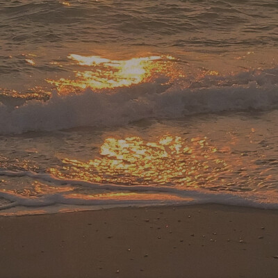 ♡我带你去看夏天的海♡