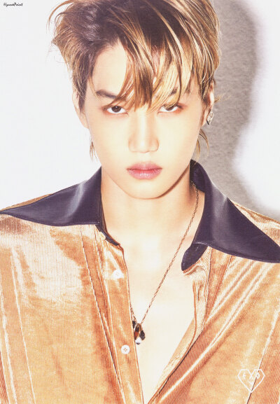 EXO 金钟仁 KAI cr：HyuneePoint56