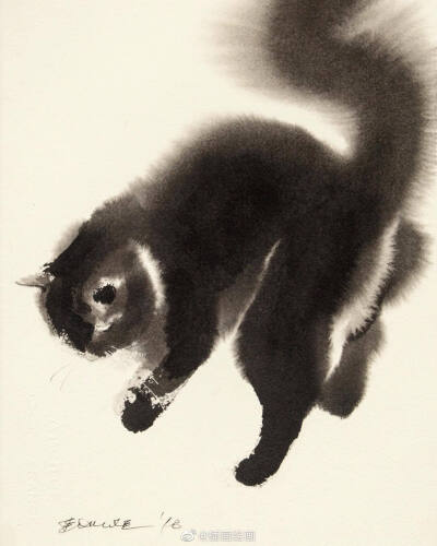 猫~插画师Endre Penovac