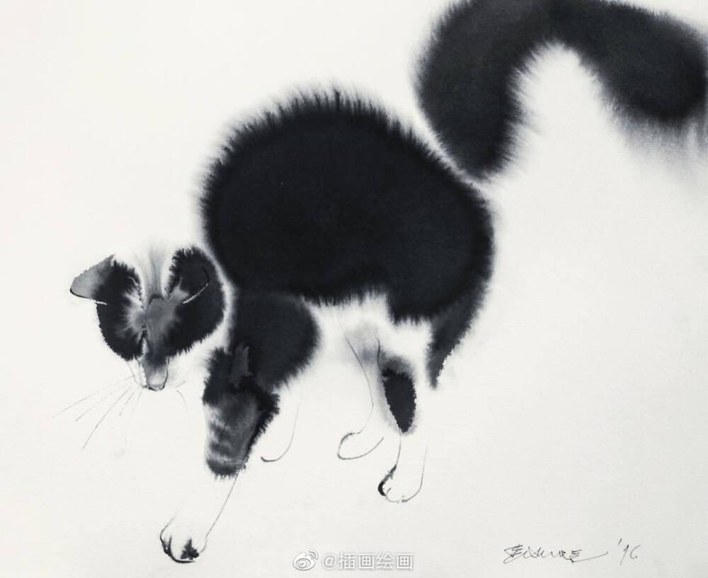 猫~插画师Endre Penovac