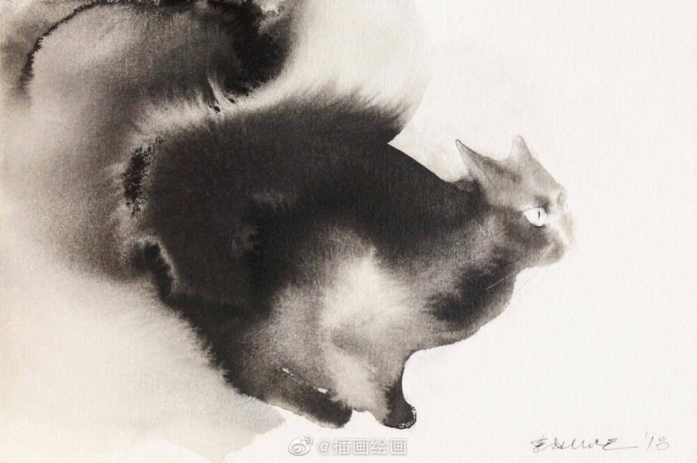 猫~插画师Endre Penovac