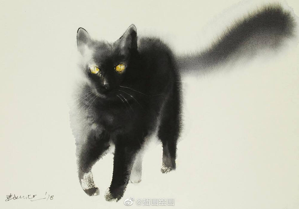 猫~插画师Endre Penovac