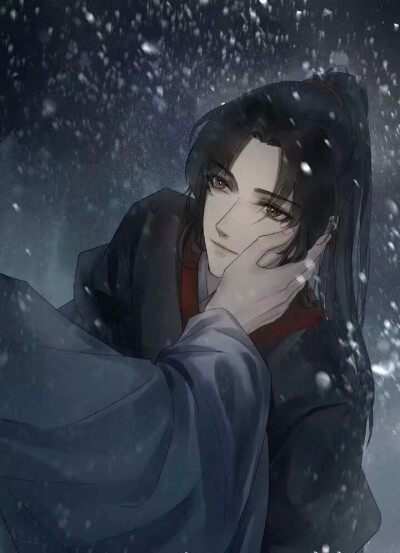 二哈和他的白猫师尊