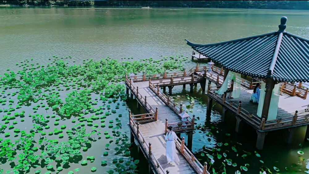 陈情令，云梦江氏莲花坞