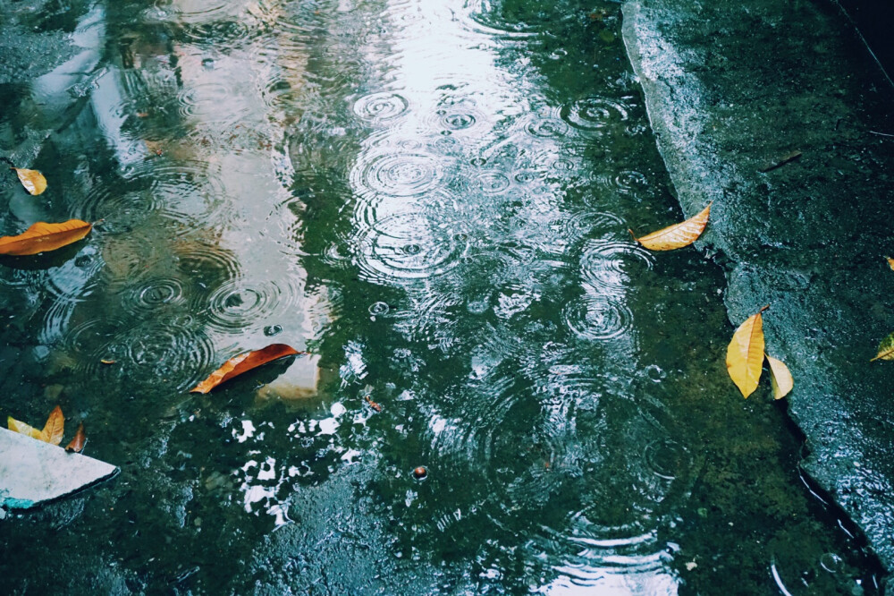 谁能体谅 我有雨天