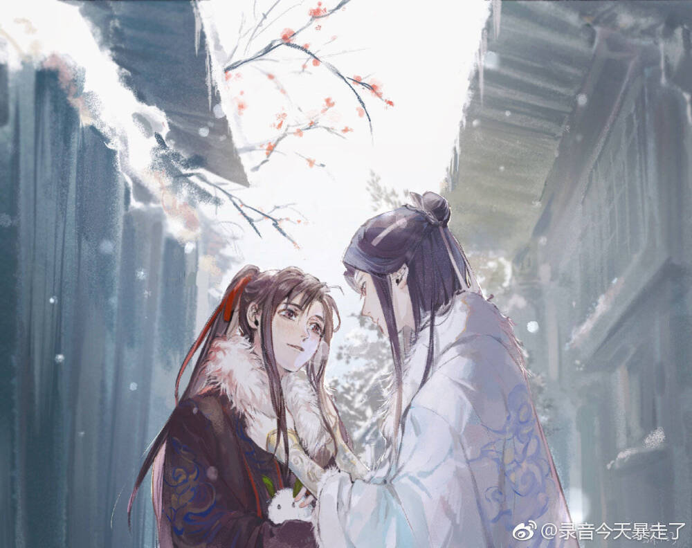 魔道祖师 忘羡