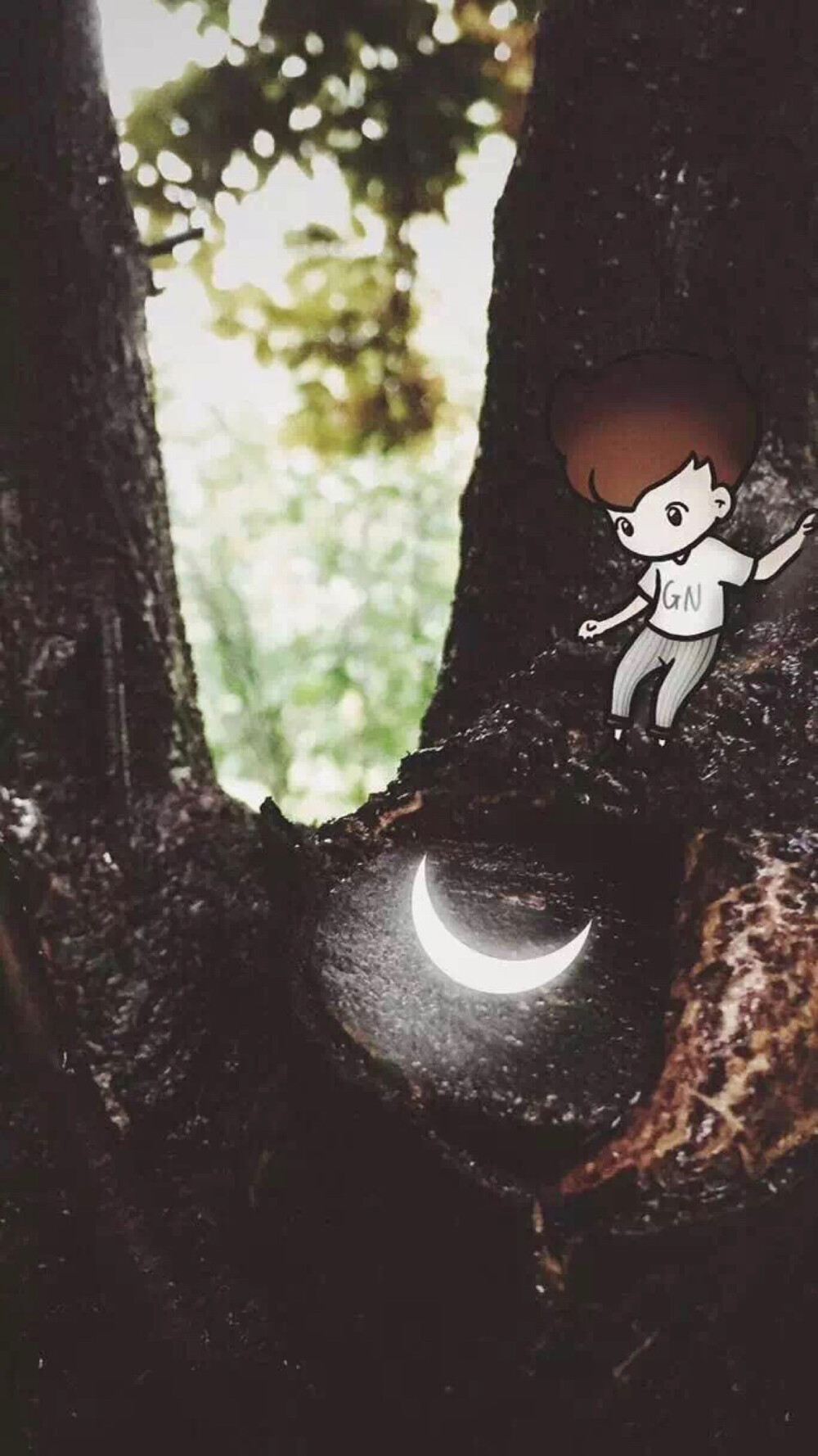 は蛋｜