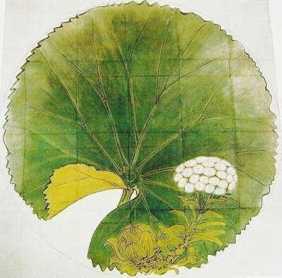 100年前画的植物真是美疯了！优雅又洒脱的线条by 柴田是真