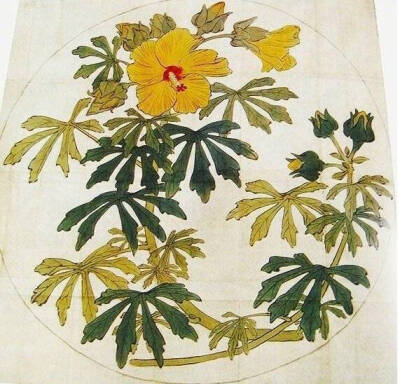 100年前画的植物真是美疯了！优雅又洒脱的线条by 柴田是真