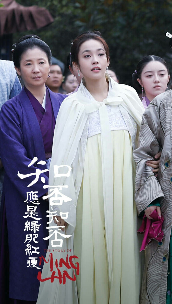 知否知否应是绿肥红瘦 盛如兰 张佳宁