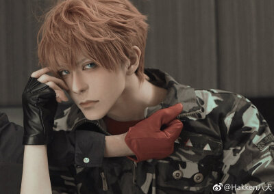 Hakken八犬，KNITEcoser