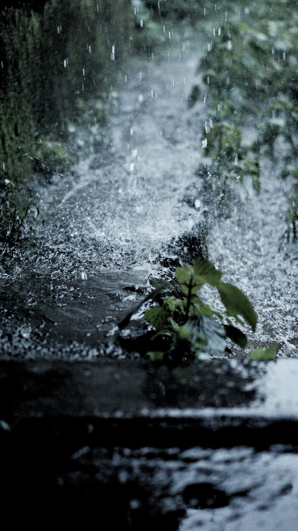 大雨