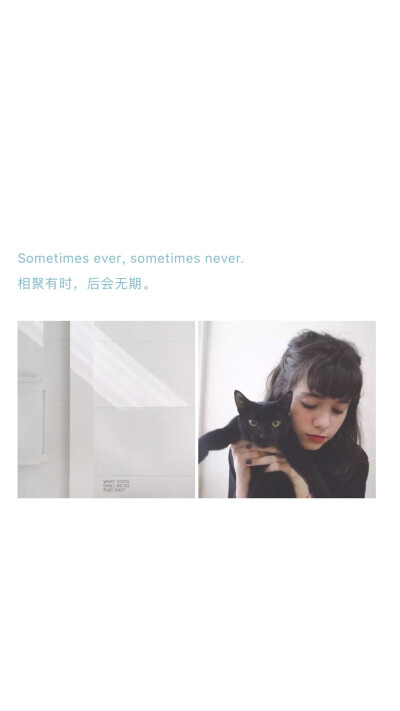 Sometimes ever, sometimes never#文字壁纸#白底