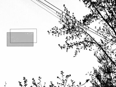 素材
○堆糖_斯谦