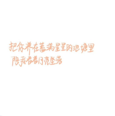 #文字头像#白底#