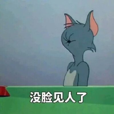 猫和老鼠