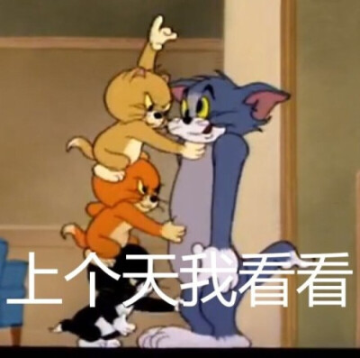 猫和老鼠