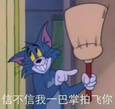 猫和老鼠