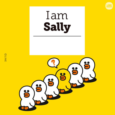 Sally莎莉鸡