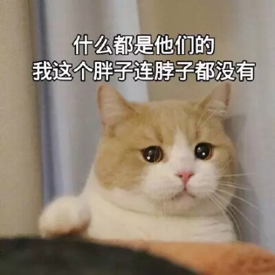 沙雕表情包