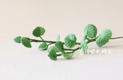 蓝月老师的花