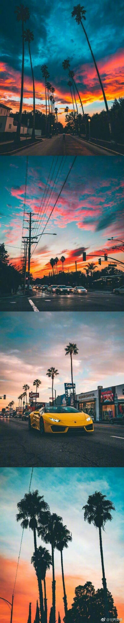 洛杉矶的椰树晚霞