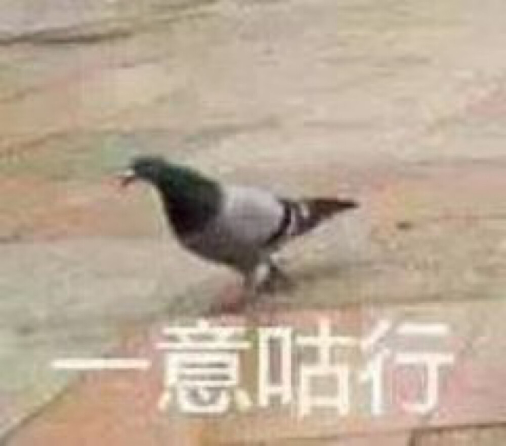 表情