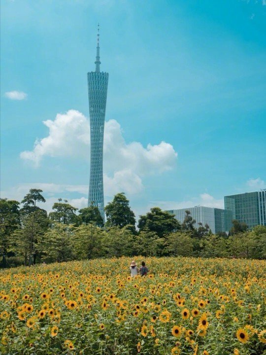 吐血整理 广州100个免费景点天河区：广东省博物馆、华南农业大学、广州大剧院、天河公园、火炉山公园、六运小区、红砖厂、花城汇、宜家家居、东方宝泰、育蕾小区、龙眼洞森林公园、海心沙公园、龙洞步行街荔湾区：沙面、荔枝湾涌、增步公园、上下九、聚龙古村、花鸟鱼艺大世界、宏信922创意园、OE元素创意园、信义会馆、醉观公园、荔湾湖公园、石围塘火车站、恩宁路、永庆坊、1850创意园越秀区：石室圣心大教堂、广州艺术博物馆、北京路、越秀公园、流花湖公园、梅花村、东山口、大佛古寺、二沙岛、人民公园、麓湖公园、东山湖公园、新河浦、289文艺park、华侨新村海珠区：东方红创意园、婚纱街、江