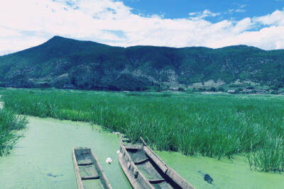 泸沽湖草海的无限风光