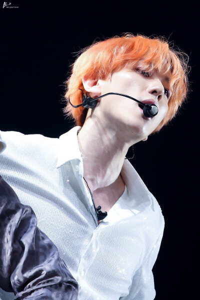 EXO五巡首尔 边伯贤