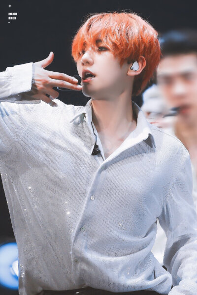 EXO 五巡首尔 边伯贤