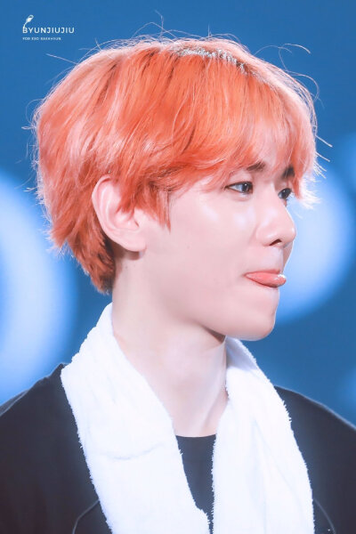 EXO 五巡首尔 边伯贤