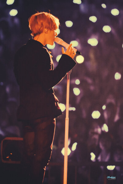 EXO 五巡首尔 边伯贤