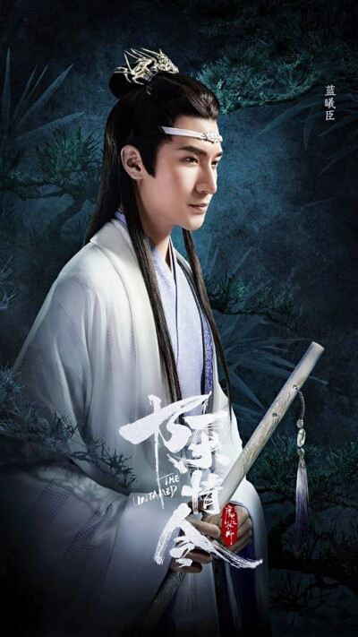 #陈情令# #蓝曦臣#