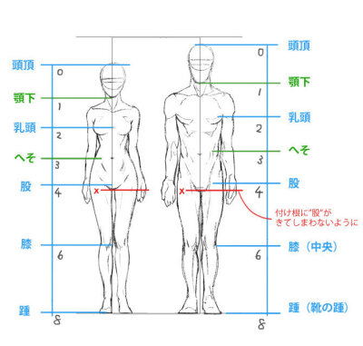 面部人体比例教程 来自Yasukata Nakama ​